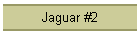 Jaguar #2